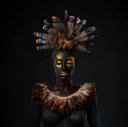 FEATHERS ARTWORK ALFREDO SANCHEZ COLLECTION